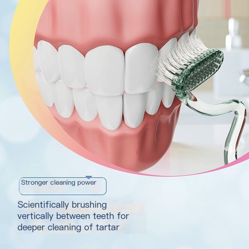 S-Shape soft bristle toothbrush brushing a teeth model, angled toward the gumline